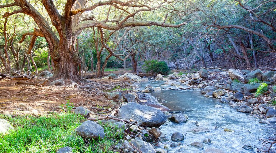 rincon de la vieja national park landscape