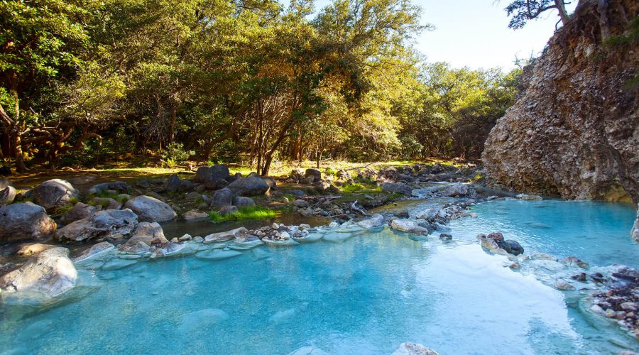 rincon de la vieja national park pond