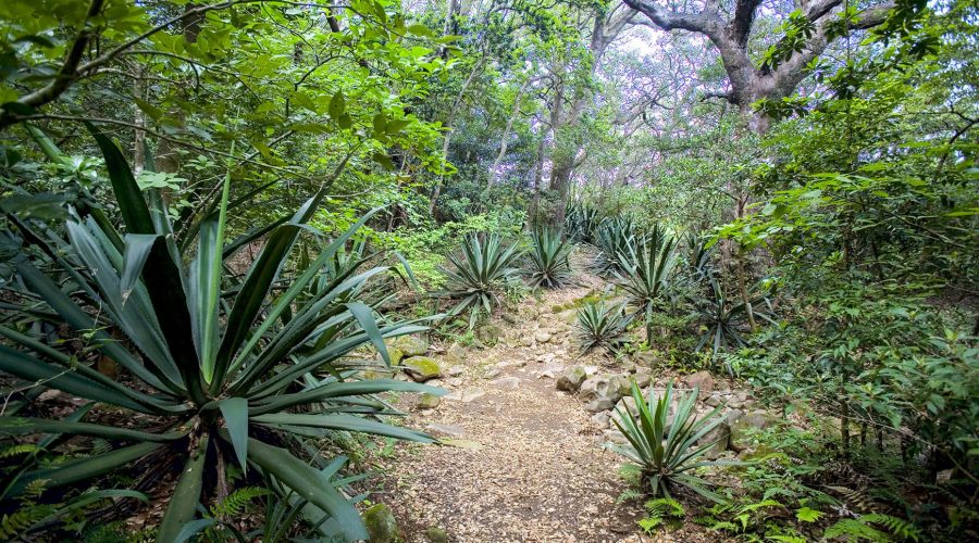 rincon de la vieja national park trails