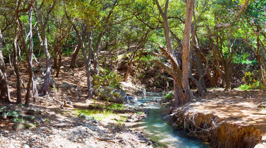 rincon de la vieja national park water