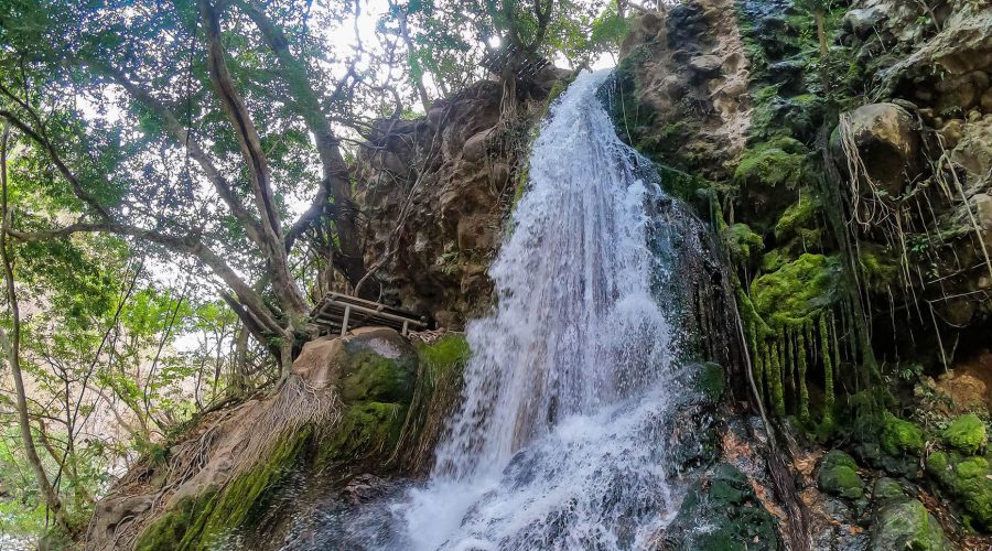 rincon de la vieja national park waterfall side
