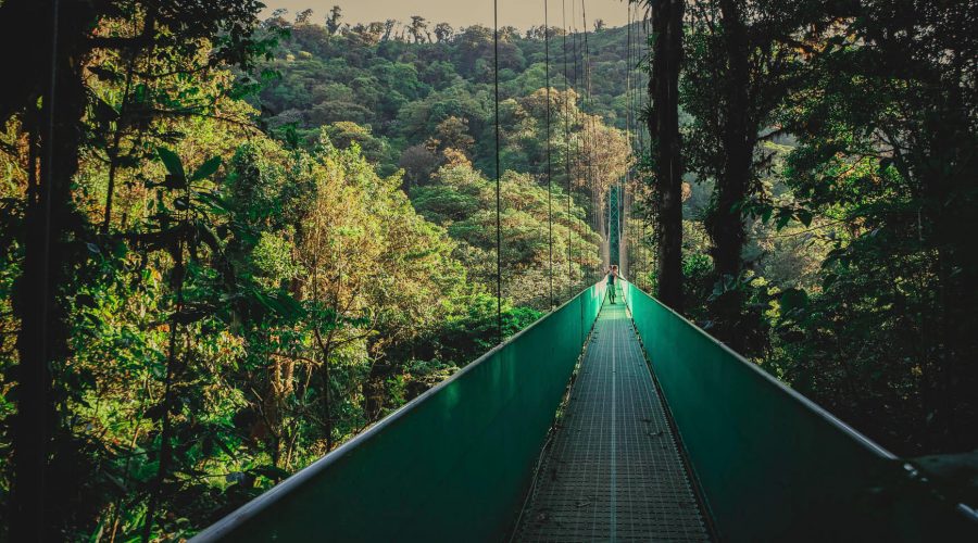 sky adventures bridges