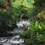 tabacon hot springs 1