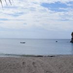 tamarindo beach guanacaste