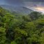 Arenal Hanging Bridges forest