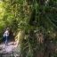 Arenal Hanging Bridges trails