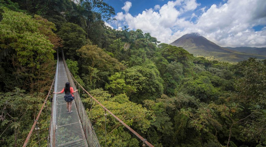 Arenal Hanging Bridges white bridge