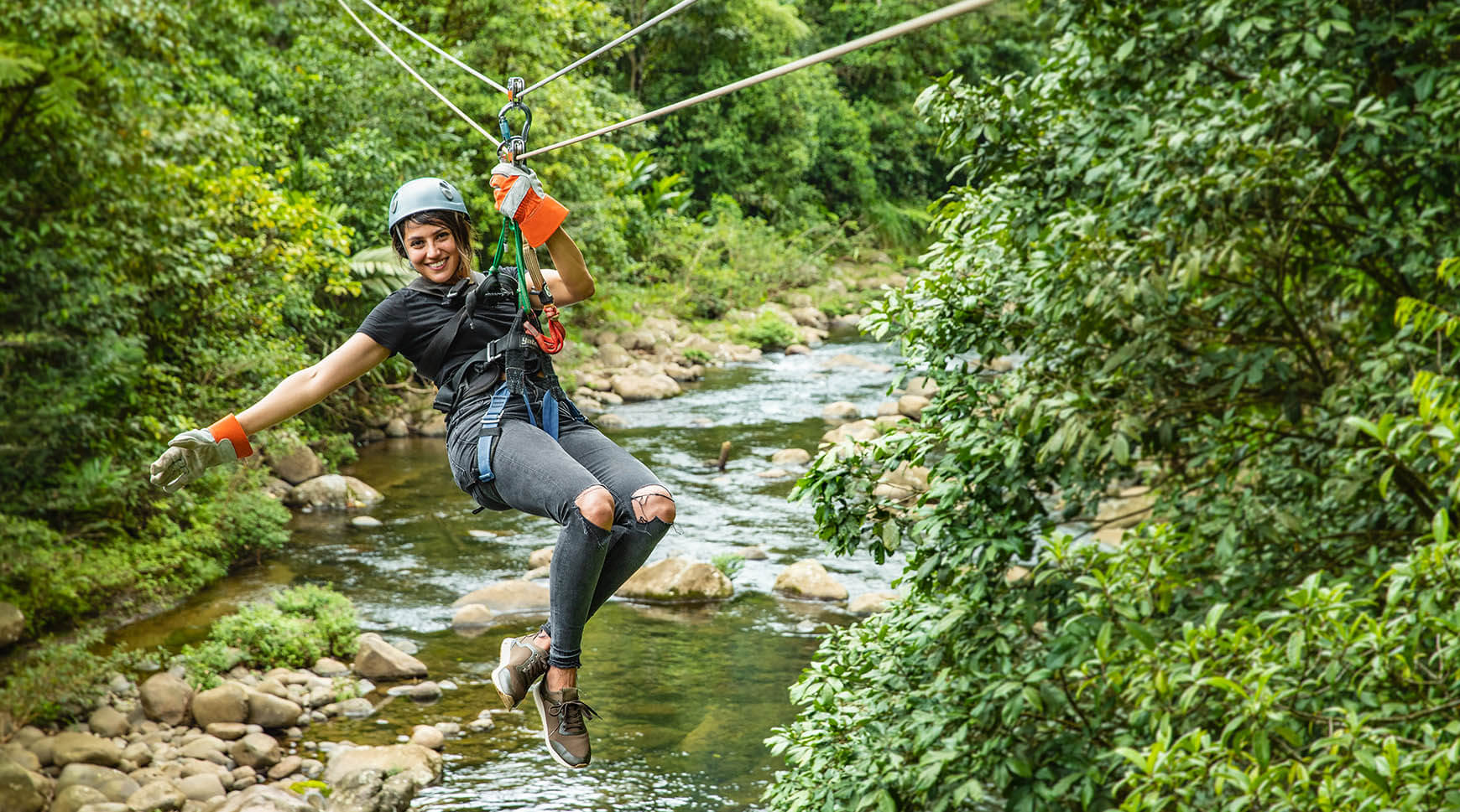 Authentic Rainforest Experience with Aerial Tram or Canopy