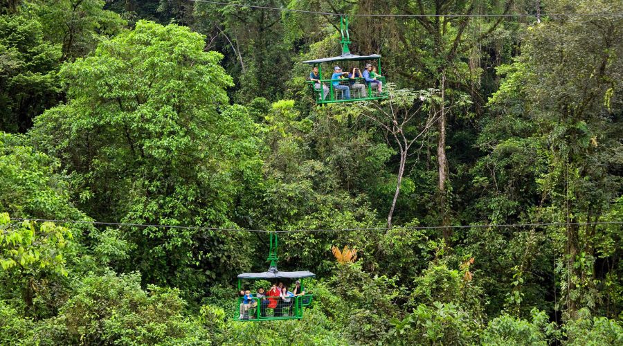 Authentic Rainforest Experience carts