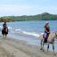 Beach Horseback Riding Conchal beach