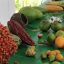 CATIE Botanical Garden fruits