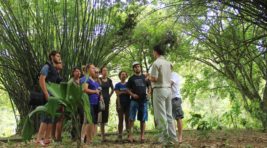 CATIE Botanical Garden guide