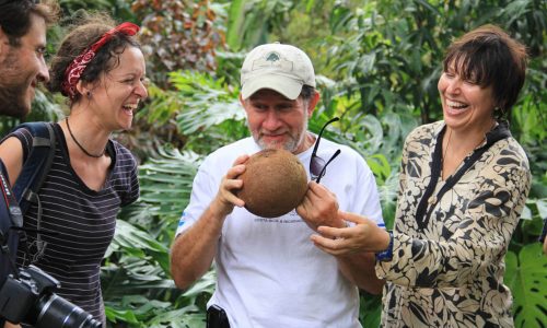 CATIE Botanical Garden shows