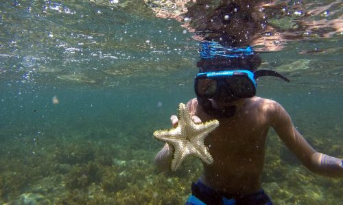 Cahuita National Park Snorkeling