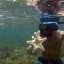 Cahuita National Park Snorkeling