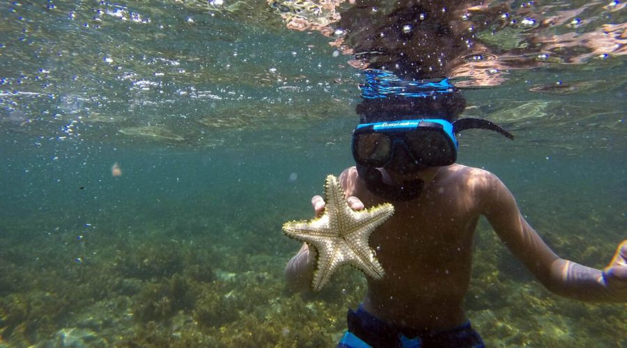 Cahuita National Park Snorkeling