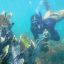 Cahuita National Park Snorkeling coral