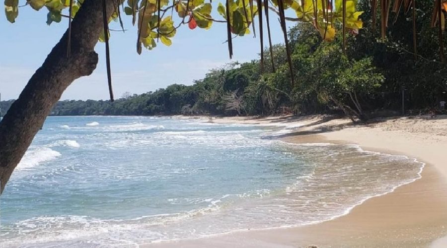 Cahuita National Park Tour Beach