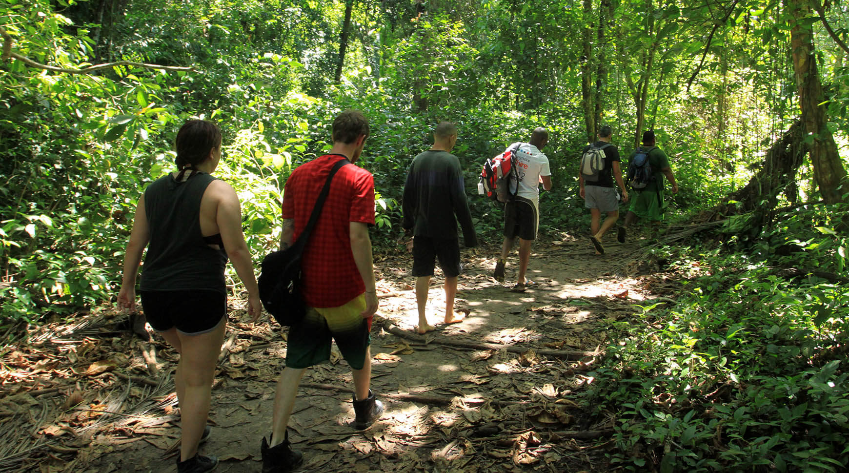 Explore Cahuita National Park on this Snorkeling and Hiking adventure