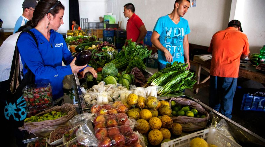 Farmers Fair Experience market