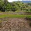 Guayabo National Monument central