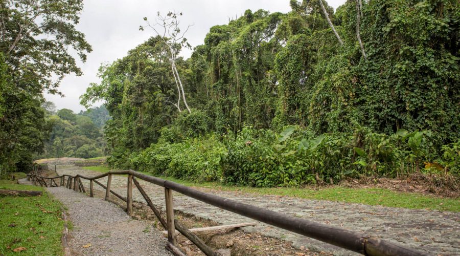 Guayabo National Monument trails