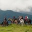 Hacienda Borinquen Horseback Riding