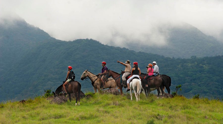 Hacienda Borinquen Horseback Riding