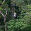 Hacienda Pozo Azul Canopy Tour lines