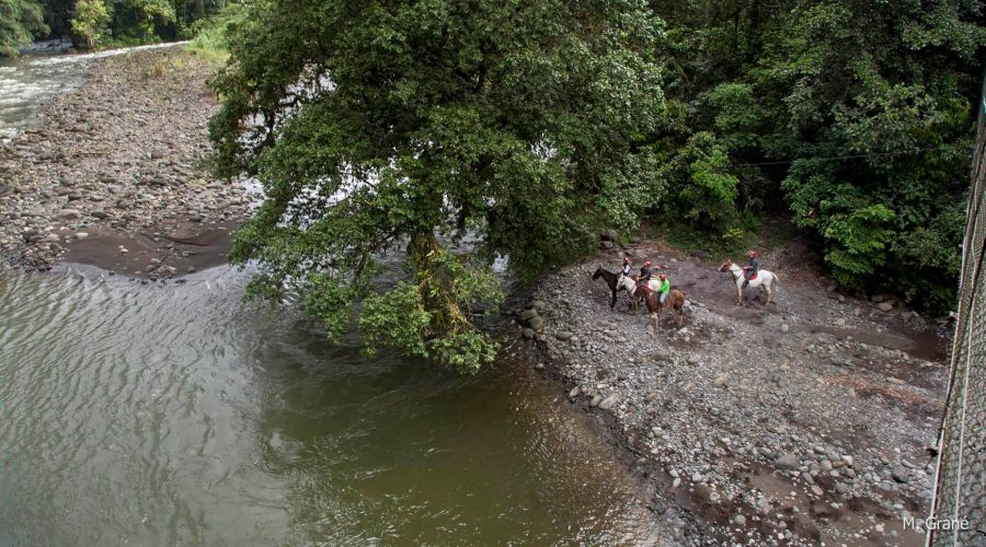 Hacienda Pozo Azul Horseback Riding aerial