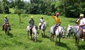 Hacienda Pozo Azul Horseback Riding guide