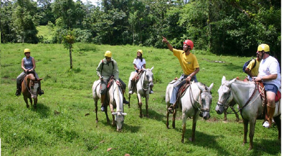Hacienda Pozo Azul Horseback Riding guide