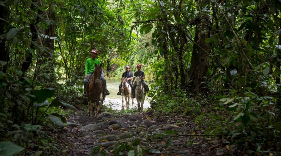 Hacienda Pozo Azul Horseback Riding river