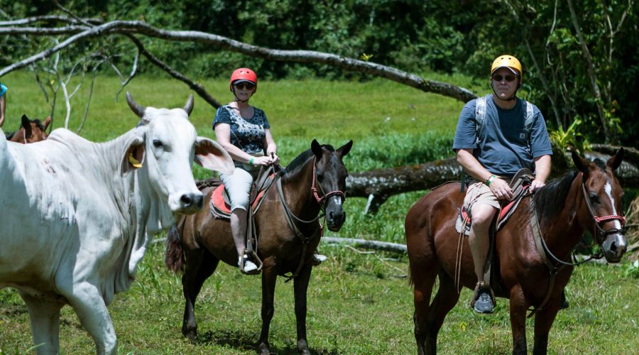 Hacienda Pozo Azul Horseback Riding tour