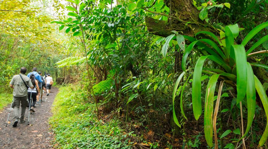 Laguna del Hule Cerro Congo Tour trails