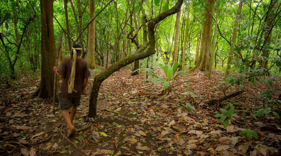 Maleku Indigenous Reserve trails