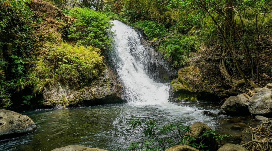 Rincon de la Vieja Waterfalls Hike Waterfalls