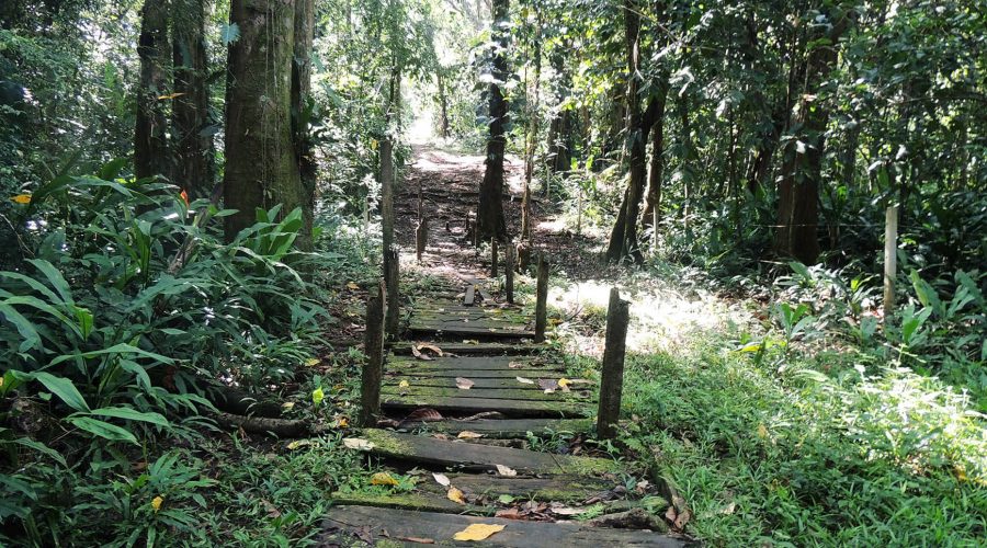 Trails Gandoca Manzanillo National Wildlife Refuge