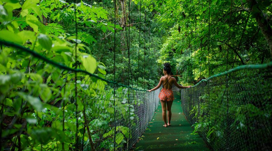 Vandara Hot Springs Adventures hanging bridge